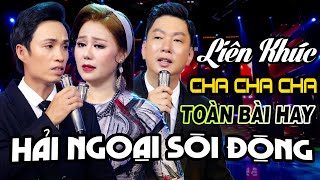 🔥 Beppo Song Ca Liên Khúc Tuấn Khương Hải Ngoại Cha Cha | Giai Điệu Khiến Bạn Không Ngồi Yên