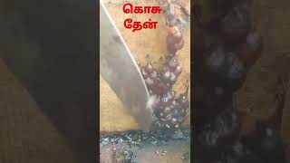 கொசு தேன் AR 9659872530