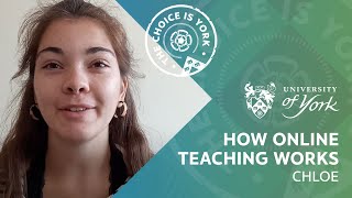 How online teaching works