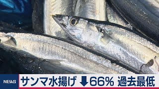 サンマの水揚げ過去最低に