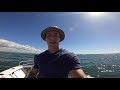 EP 19 - SQUID HEAVEN! Fishing an Island for Delicious Calamari  Catch n Fry