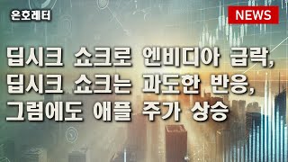 250128 딥시크 쇼크로 엔비디아 주가 급락 / 딥시크 쇼크는 과도한 반응 / 그럼에도 애플 주가 상승 등 오늘의 경제 뉴스