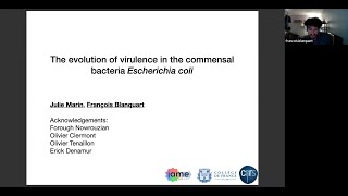 The evolution of virulence in the commensal bacteria Escherichia coli