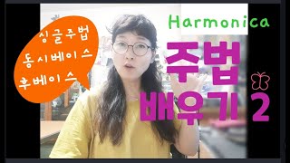 하모니카베이스주법배우기2( 하모니카주법기초를 위한 강의영상) /Harmonica/ 똑같아요