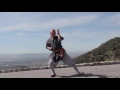 少林通背拳 shaolin tong bei quan master shi yan yue