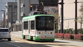 2022/04/12 富山軌道線 8000形 | Toyama City Tram: 8000 Series