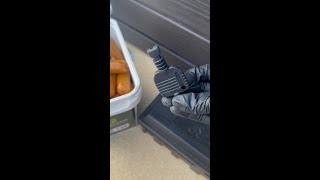 Evolve Soft Bait: The Ultimate Solution for Stubborn Rodents!