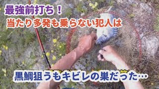 ＃５前打ち！で和歌山県日高川①の船着き場を狙いキビレと遊びました！