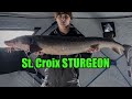 Ice Fishing Sturgeon On The ST. CROIX RIVER (Big Fish)