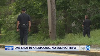 One shot in Kalamazoo; no suspect info