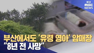 부산서도 '유령 영아' 암매장..\