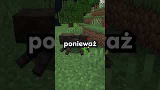 NAJGORSZY BŁĄD W MINECRAFT!