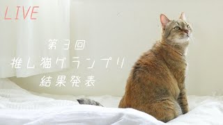 第３回押し猫グランプリ結果発表＆新居生配信