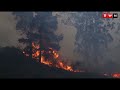 Knysna fires of 2017