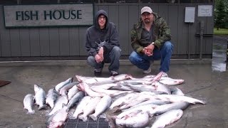 Legal Addiction; Kenai River Dip Netting for red salmon!