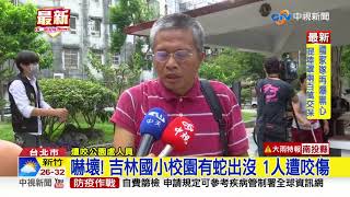 嚇壞! 吉林國小校園有蛇出沒 1人遭咬傷│中視新聞 20200910