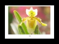 review macro extension tube ท่อต่อมาโคร