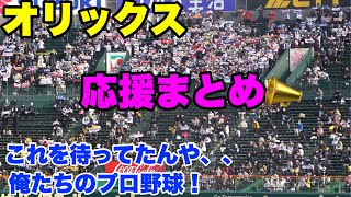 【めっちゃカッコイイやん、、久しぶりの応援にしては声が揃いすぎて少人数でも素晴らしい応援📣】3月4日 オープン戦