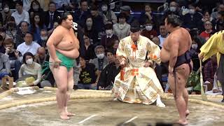 琴ノ若 vs 湘南乃海【大相撲令和5年11月場所】14日目  2023/11/25  [Sumo] DAY14 Nov 2023 現地観戦 九州場所