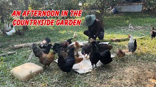 #1 An afternoon in the countryside garden | Cheerful Garden