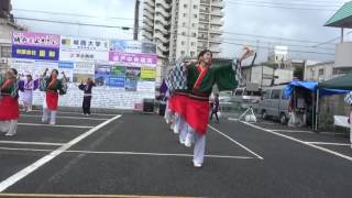 坂戸・夏よさこい2016 ～ 坂戸市役所連