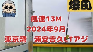 【爆風13メートル　浦安　吉久LTアジ】極鋭LTアジは最高ですが、風はきついです。2024年10月