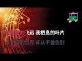 原版伴奏 任然 飞鸟和蝉 ktv karaoke 純音樂伴奏）