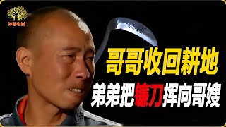 弟弟種了哥哥的耕地，收回時卻遭弟弟報復，導致哥哥家破人亡 #神秘老樹 #案件 #探案 #懸案 #懸疑