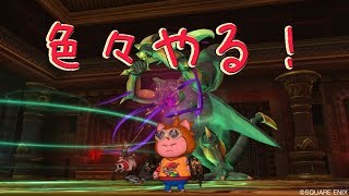 こうめいドラクエ１０のライブストリーム６４　本日は邪神更新日！災いの神話と暴虐の悪夢！