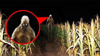 15 Scary Videos That Should’ve Stayed Hidden
