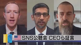 ＳＮＳ公聴会 ＣＥＯら証言（2021年3月26日）