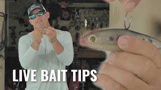 Tips for Hooking Live Bait- Captain Rush Explains
