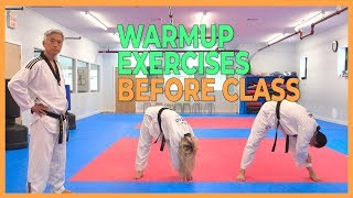Warmup Exercises Before Taekwondo Class - Practice Together!