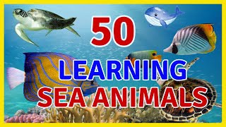 50 SEA ANIMALS COLLECTION - Learning Aquatic Animals Name - Name \u0026 Videos