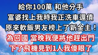 給你100萬 和他分手，富婆找上我時我正洗車還債，原來軟飯男友榜上了新金主！為回國，當晚我便將他趕出門，下了飛機見到1人我傻眼了！#心靈回收站