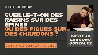 Les questions de Jésus - Cueille-t-on des raisins sur des épines, ou des figues sur des chardons ?