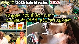 #பக்ரீத்_ஆடுகள் 💥🐑70 கிலோ முதல்💫#பெரியஆடுகள் #Bakridsheep #biggestsheep 🐑#biggestgoats 🐏 #shanu 2024