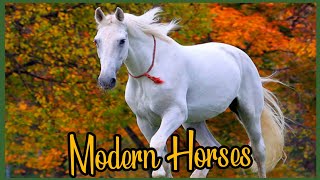 Evolutionary history of modern Horses (Equus)