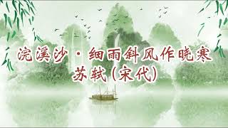 87《一诗一赏》“桃花流水鳜鱼肥”的田园诗《浣溪沙· 渔父》、“人间有味是清欢”的纪游诗《浣溪沙·细雨斜风作晓寒》苏轼（宋)