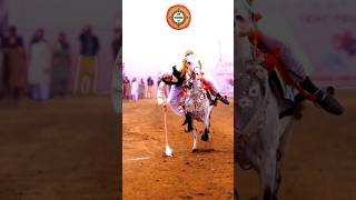 Neza Bazi In Pakistan 2024 #horserider #nezabazi #gujarkhan #equestrian #youtubeshorts #shortsvideo