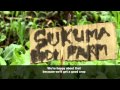 life apps | silicon savannah: Kenya