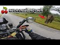 CLOSE CALL WITH ELEPHANT || ಊಟಿ ಊಟಿ ಊಟಿಯಲ್ಲಿ PARTY