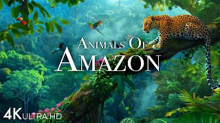 Animals of Amazon 4K - Animals That Call The Jungle Home | Amazon Rainforest |Sc