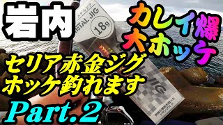 【釣り】北海道岩内カレイ爆釣・セリアジグで大ホッケ（石狩・小樽から遠征）投げ釣り・投げサビキ（ダイソーメタルバイブも釣れる）PART2：Flatfish  atka mackerel fishing