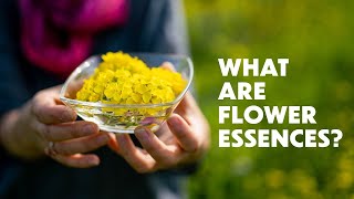 LOTUSWEI Flower Essences