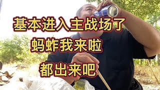 蚂蚱别躲啦！都出来进锅啦！基本进入逮蚂蚱的主战场了，寻找露营