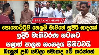 පොහොට්ටුවේ ප්‍රබලයෝ නෙලුම් සුපිරි ජය සැමරුමක් මොකද මේ විස්තරය