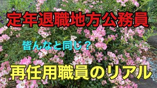 定年退職地方公務員、再任用職員のリアル