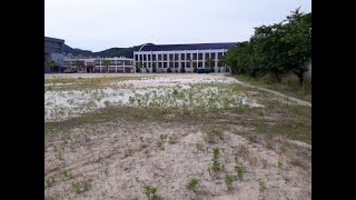 학교운동장정비작업 및 잡초제거작업/함안칠원중학교