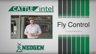 Cattle Intel Fly Treatments